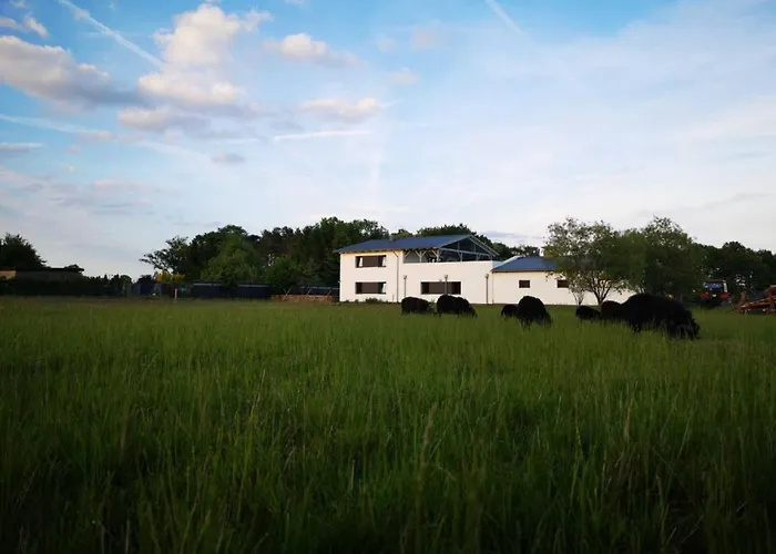 Guest house Kirchberg *